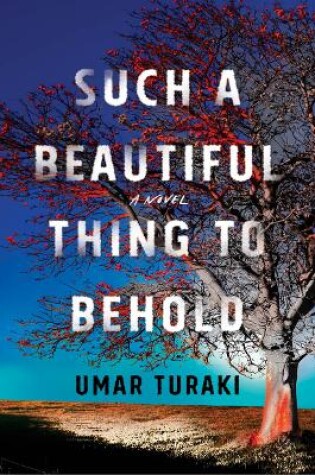 Cover of Such a Beautiful Thing to Behold