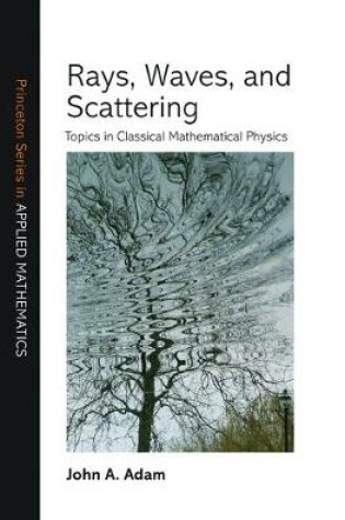 Cover of Rays, Waves, and Scattering