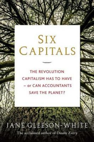 Cover of Six Capitals