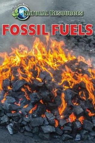 Cover of Fossil Fuels