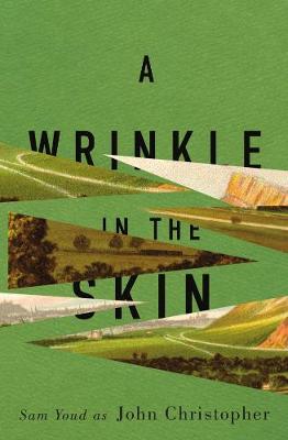 Book cover for A Wrinkle in the skin