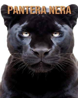 Book cover for Pantera nera