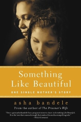 Cover of Something Like Beautiful