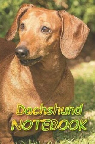 Cover of Dachshund NOTEBOOK