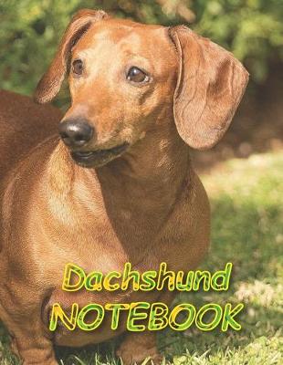 Book cover for Dachshund NOTEBOOK