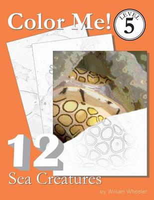 Book cover for Color Me! Sea Creatures