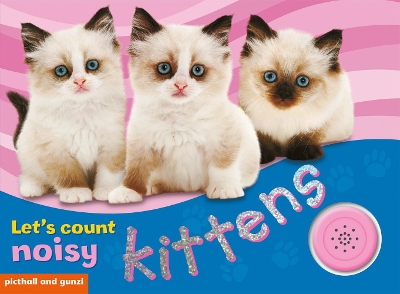 Cover of Noisy Kittens