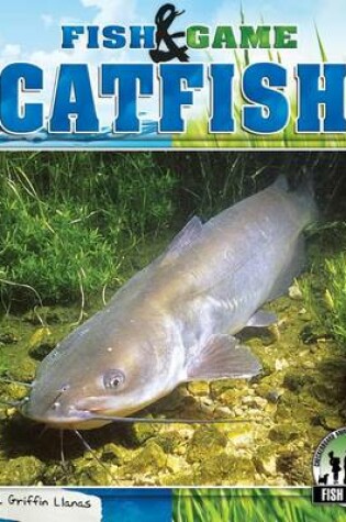 Cover of Catfish