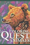Book cover for Coloring Quest