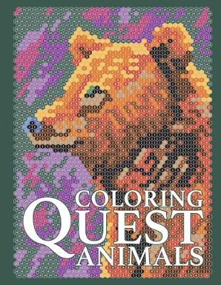 Book cover for Coloring Quest