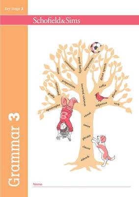 Book cover for Grammar 3