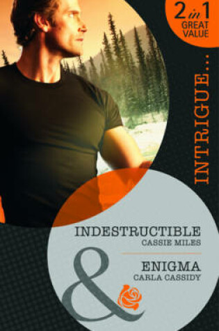 Cover of Indestructible