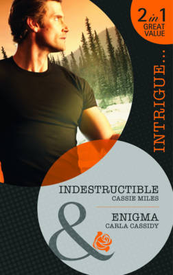 Book cover for Indestructible
