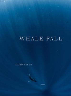 Book cover for Whale Fall