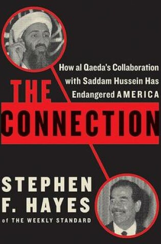 Cover of Connection