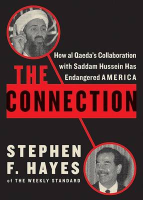 Book cover for Connection