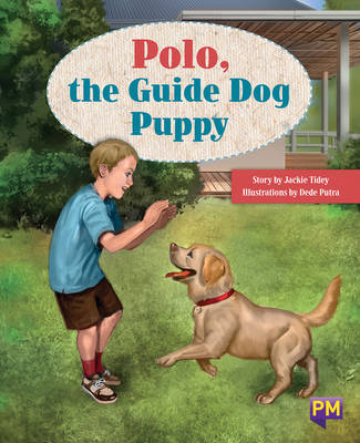 Book cover for Polo, the Guide Dog Puppy
