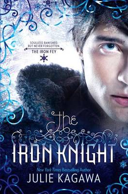 Book cover for Iron Knight