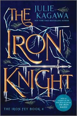 Book cover for The Iron Knight Special Edition