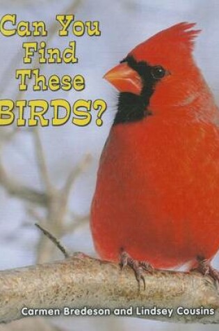 Cover of Can You Find These Birds?