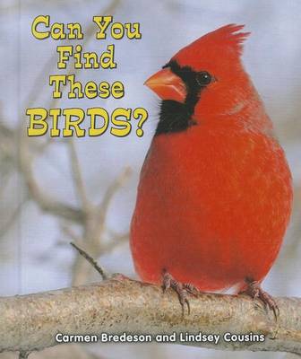 Cover of Can You Find These Birds?