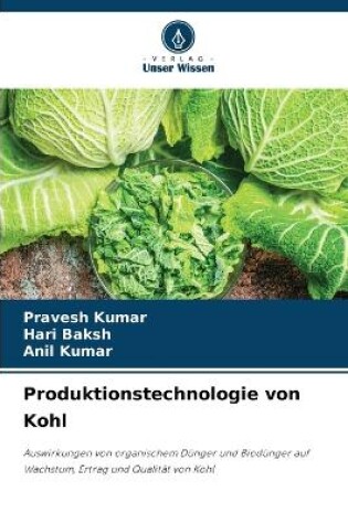 Cover of Produktionstechnologie von Kohl