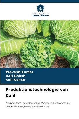 Book cover for Produktionstechnologie von Kohl