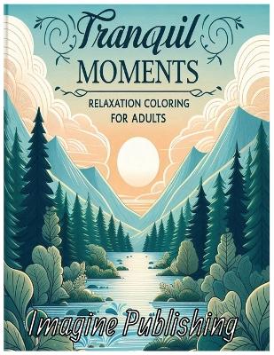 Cover of Tranquil Designs for Stress Relief and Mindfulness (Adult Coloring Book)