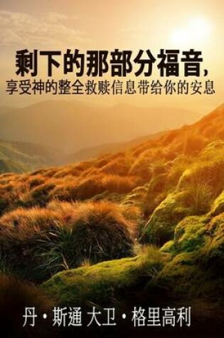 Cover of The Rest of the Gospel (Chinese Version)