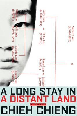 Book cover for A Long Stay in a Distant Land