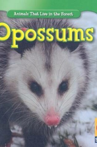 Cover of Opossums