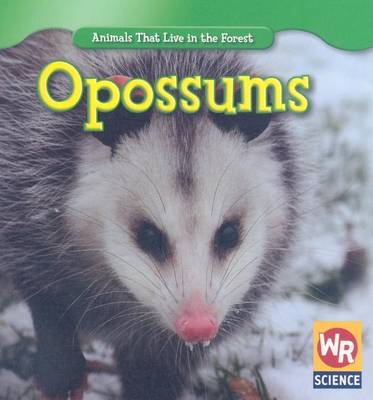 Cover of Opossums