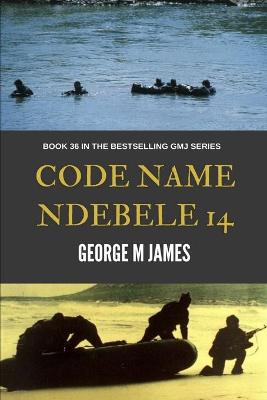 Book cover for Code Name Ndebele 14