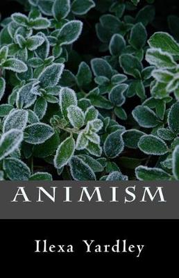 Book cover for Animism