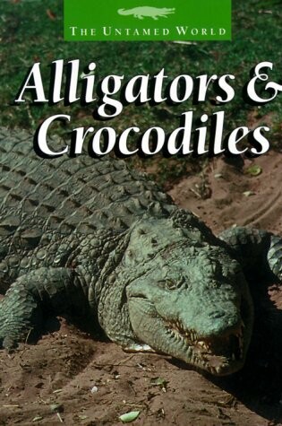 Cover of Alligators & Crocodiles Sb