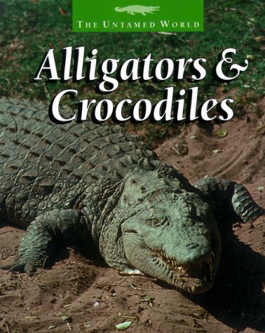Book cover for Alligators & Crocodiles Sb