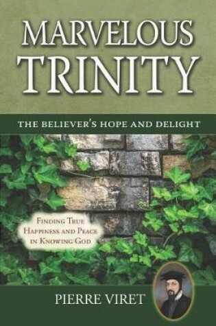 Cover of Marvelous Trinity, the Believer's Hope and Delight