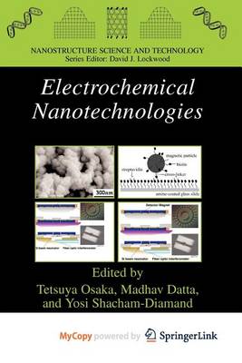 Cover of Electrochemical Nanotechnologies