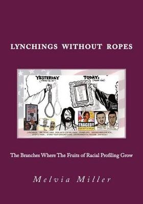 Book cover for Lynchings Without Ropes