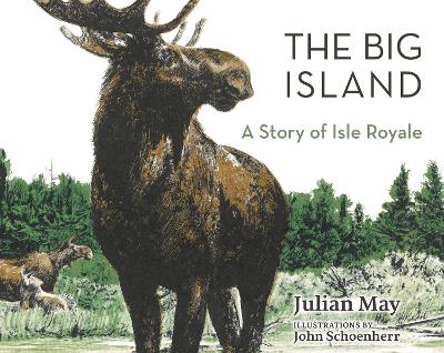 Book cover for The Big Island