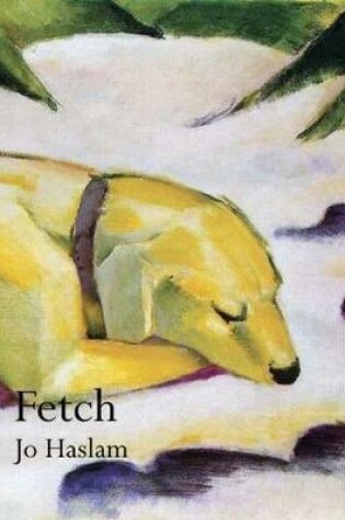 Cover of Fetch