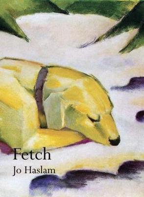 Book cover for Fetch