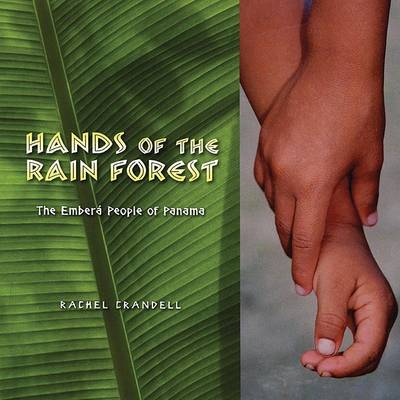 Book cover for Hands of the Rain Forest