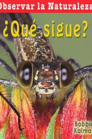 Cover of Que Sigue?