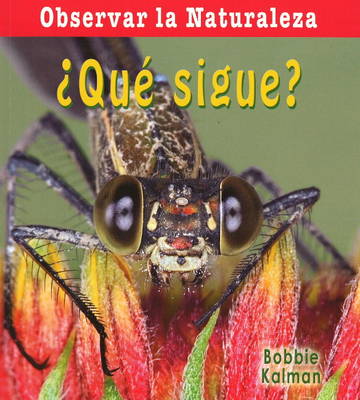 Book cover for Que Sigue?