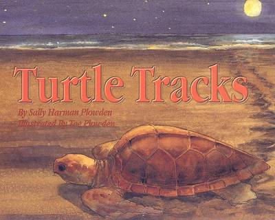 Book cover for Turtle Tracks