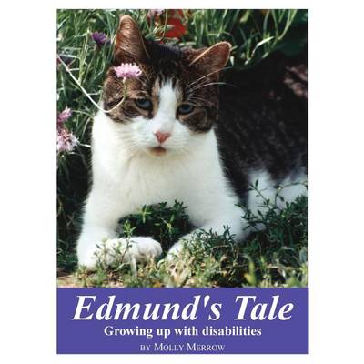 Book cover for Edmund's Tale