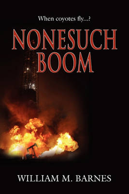 Book cover for Nonesuch Boom