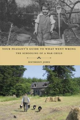 Cover of Your Peasant's Guide to What Went Wrong