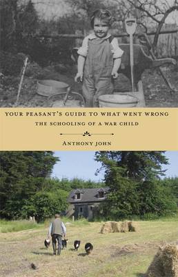 Book cover for Your Peasant's Guide to What Went Wrong